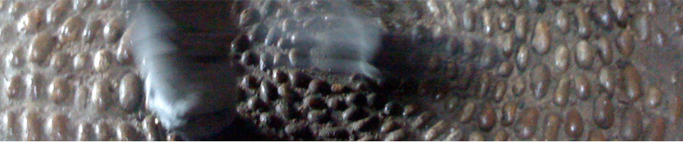 Landscape Architecture