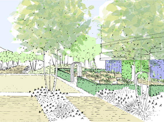 Community street allotments